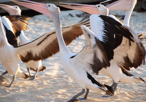 Ready To Start Your Project